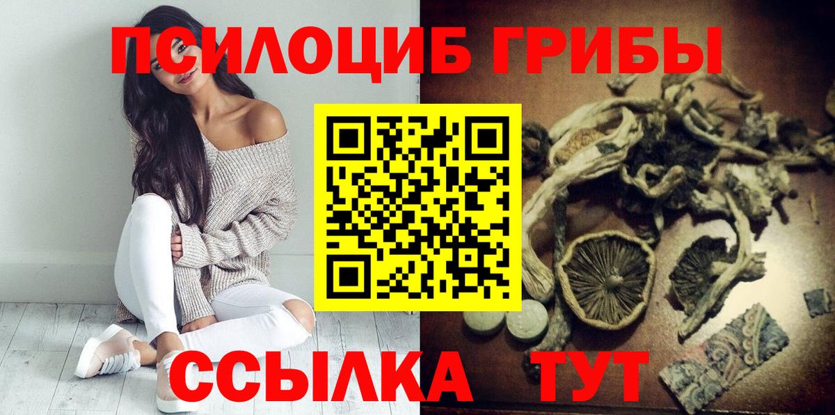 Волжский  Псилоцибиновые грибы Psilocybine cubensis  Вход с VPN 