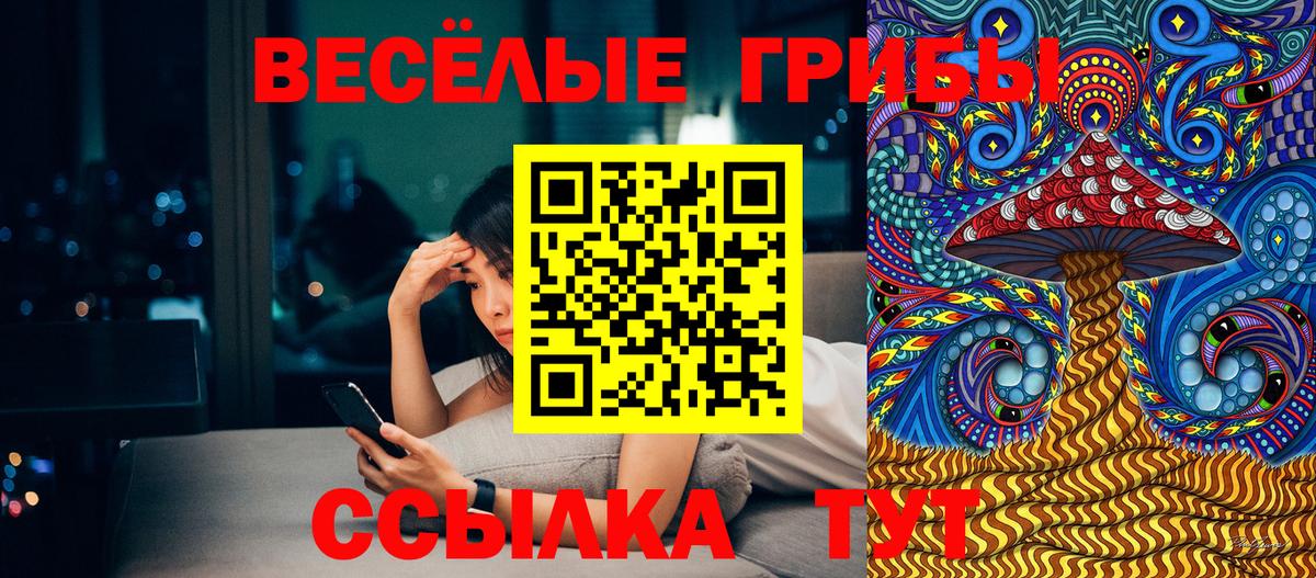 Галлюциногенные грибы прущие грибы Волжский